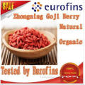 New crop Ningxia Dried Goji berry